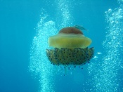 04-28.jpg