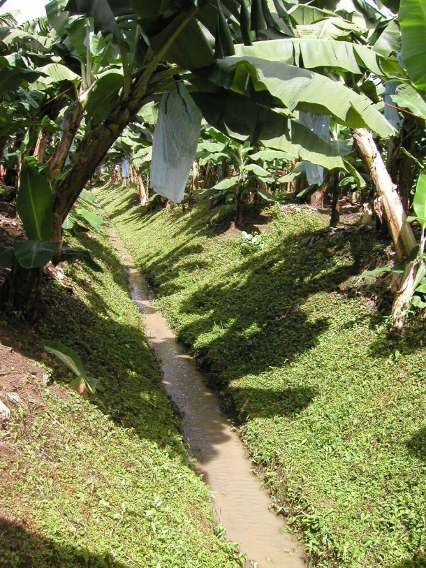 06.jpg