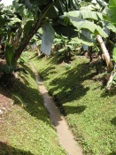 06.jpg