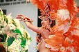 img00005.jpg
