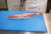 Čistý filet