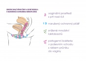k tématu: probiotický intimní krém ellen®