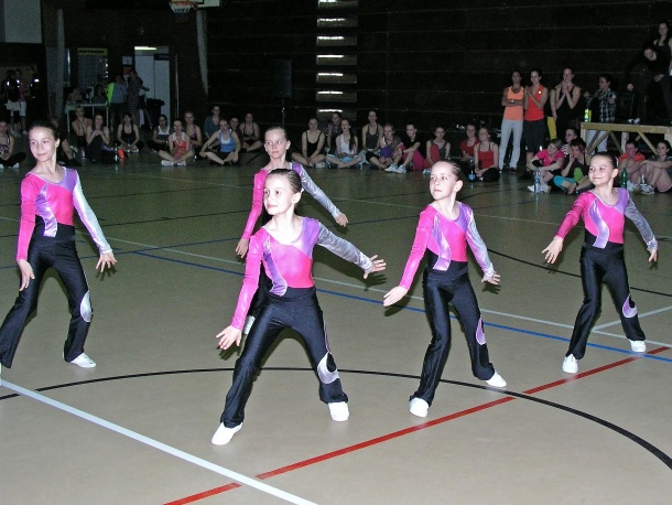 Fotogalerie: Akademická aerobic show 2013