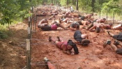 SpartanRace SPRINT Bořetice – Kraví hora
