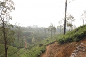 dsc-9080.jpg