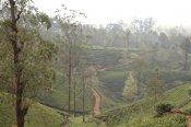 dsc-9082.jpg