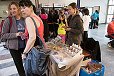 img00146.jpg