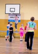 dsc-0005up.jpg