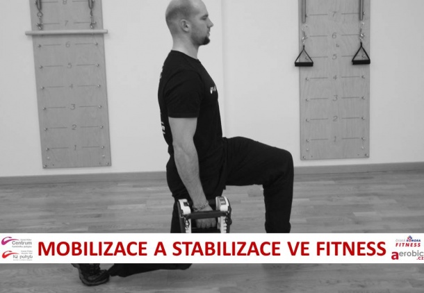 mob.stab.ve-fitness1.jpg