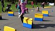 img00009.jpg