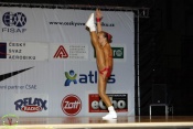 mcr2008-056.jpg