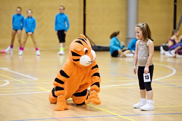 img00035.jpg