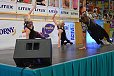 img00151.jpg