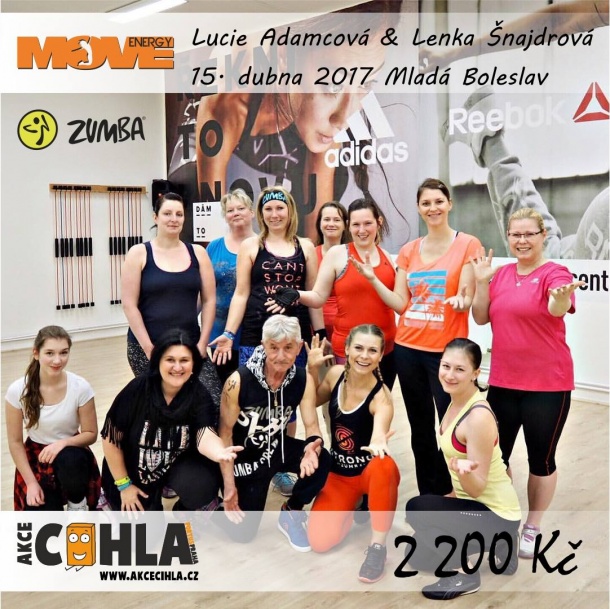 AKCE CIHLA - V letošním roce rozjela poprvé společně se ZIN instruktory benefiční lekce po celé ČR. Zapojit se ale mohou i instruktoři všech cvičení a sportů.