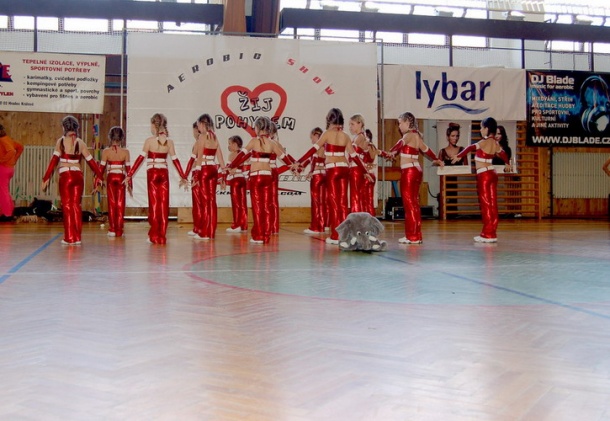 zijpohybem-25-5-08-aerobicshow-172.jpg